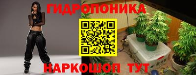 индика Красноармейск